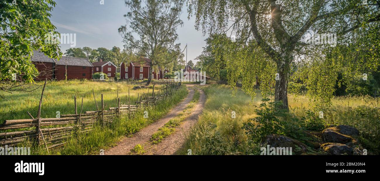 Kleine Landstraße und alte rote Cottages in ländlicher Landschaft im Dorf Stensjo by. Oscarshamn, Smaland, Schweden, Skandinavien Stockfoto