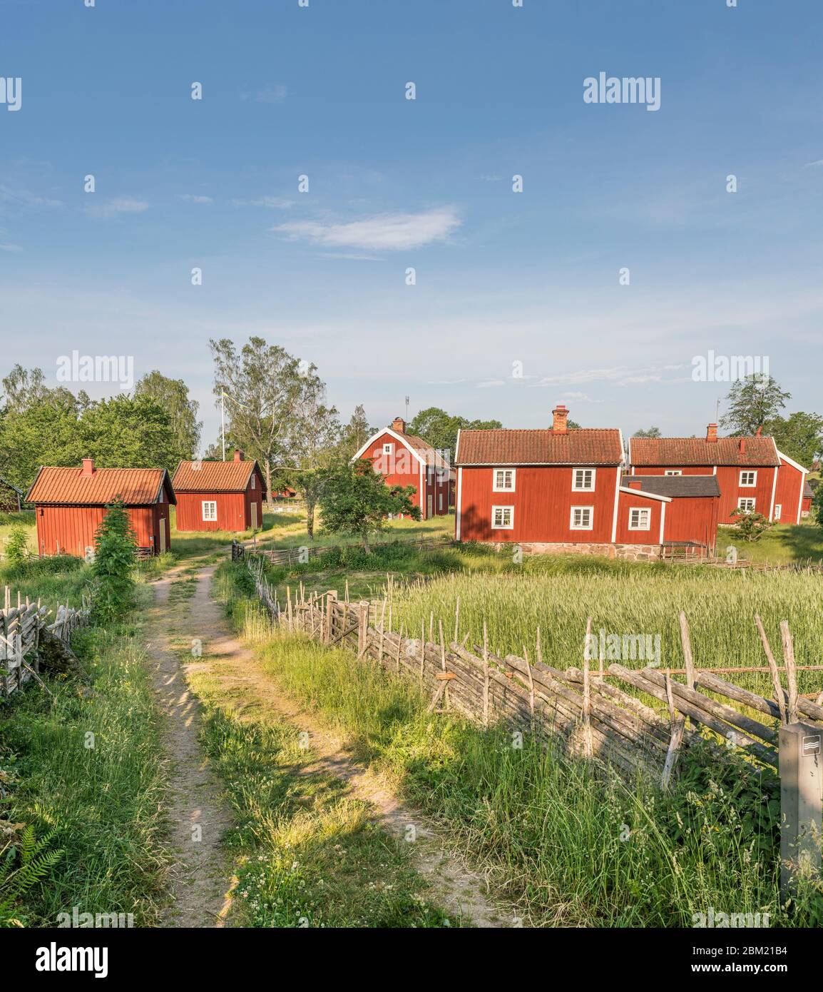 Kleine Landstraße und alte rote Cottages in ländlicher Landschaft im Dorf Stensjo by. Oscarshamn, Smaland, Schweden, Skandinavien Stockfoto