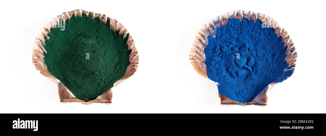 Blau und grün Spirulina Algenpulver, gesunde Nahrungsergänzungsmittel. Stockfoto