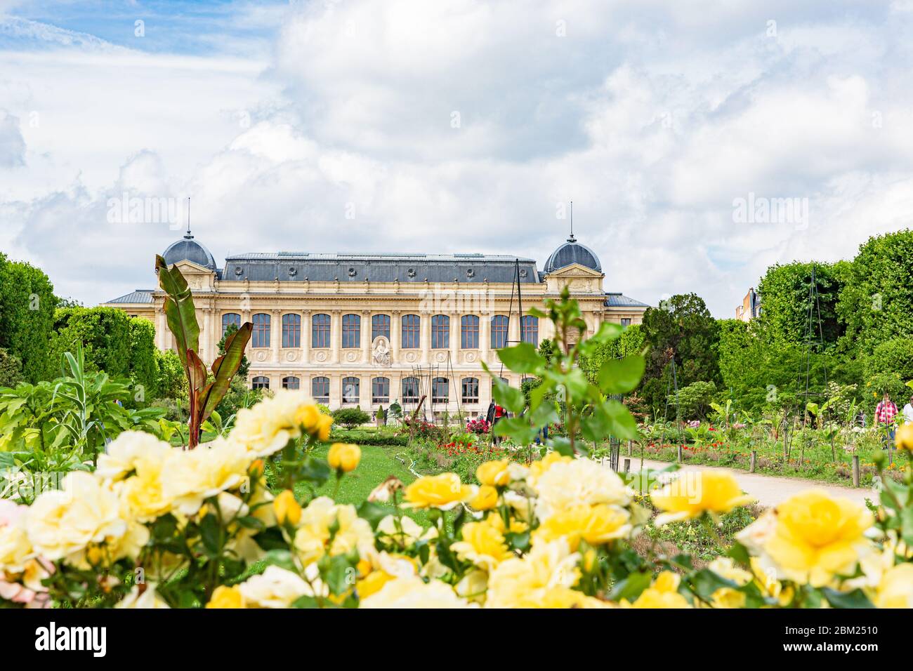 Panorama der Großen Galerie der Evolution im Nationalmuseum von Naturgeschichte Stockfoto