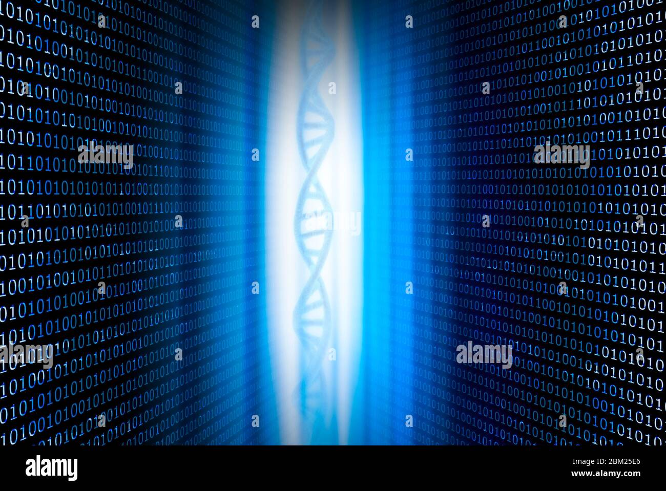 DNA und Binärzahlen vor blauem Hintergrund Stockfoto