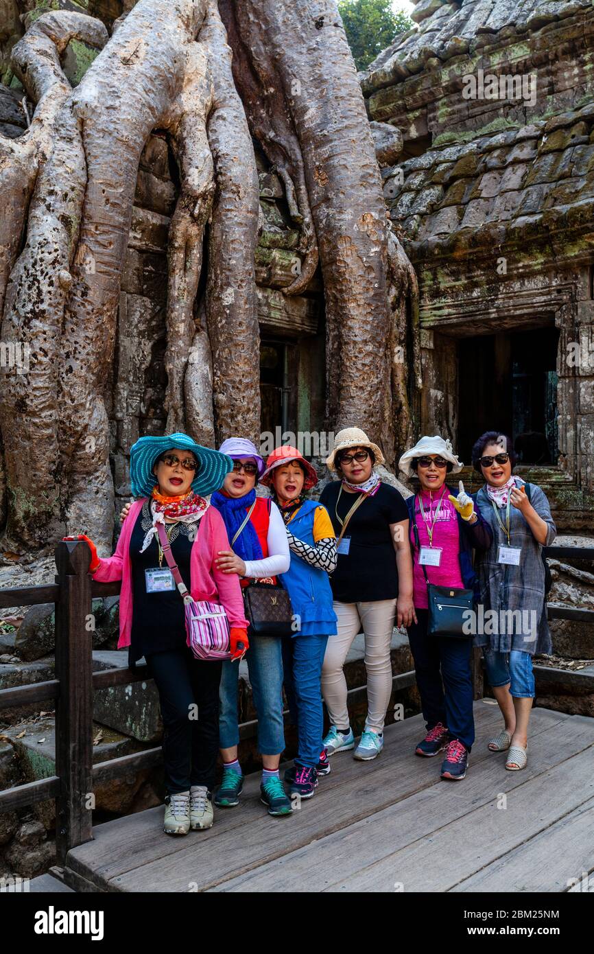 Besucher Im Ta Prohm Tempel, Angkor Wat Tempel Komplex, Siem Reap, Kambodscha. Stockfoto