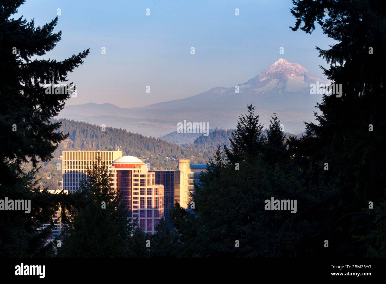 Blick auf die Innenstadt und Mt Hood vom Rose Garden in Portland, Oregon. Stockfoto