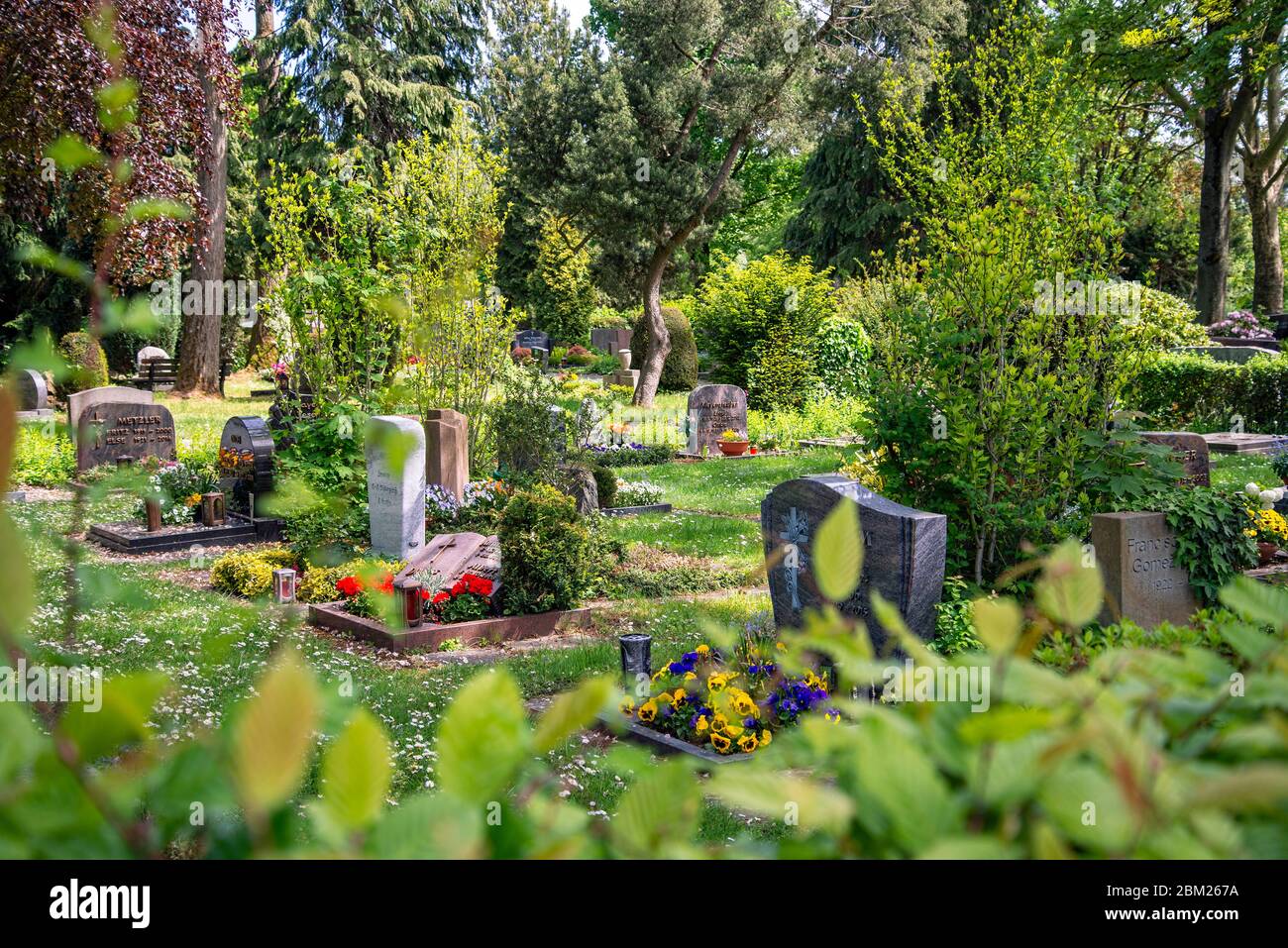 Gräber mit Grabsteinen und Blumenschmuck auf dem alten Friedhof von Oberursel bei Frankfurt Stockfoto