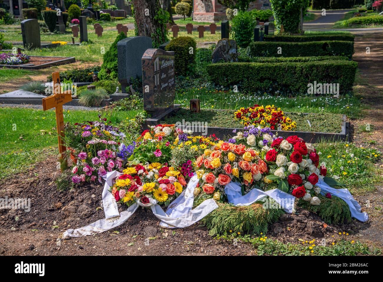 Neues Grab mit Blumenschmuck auf dem alten Friedhof von Oberursel bei Frankfurt Stockfoto