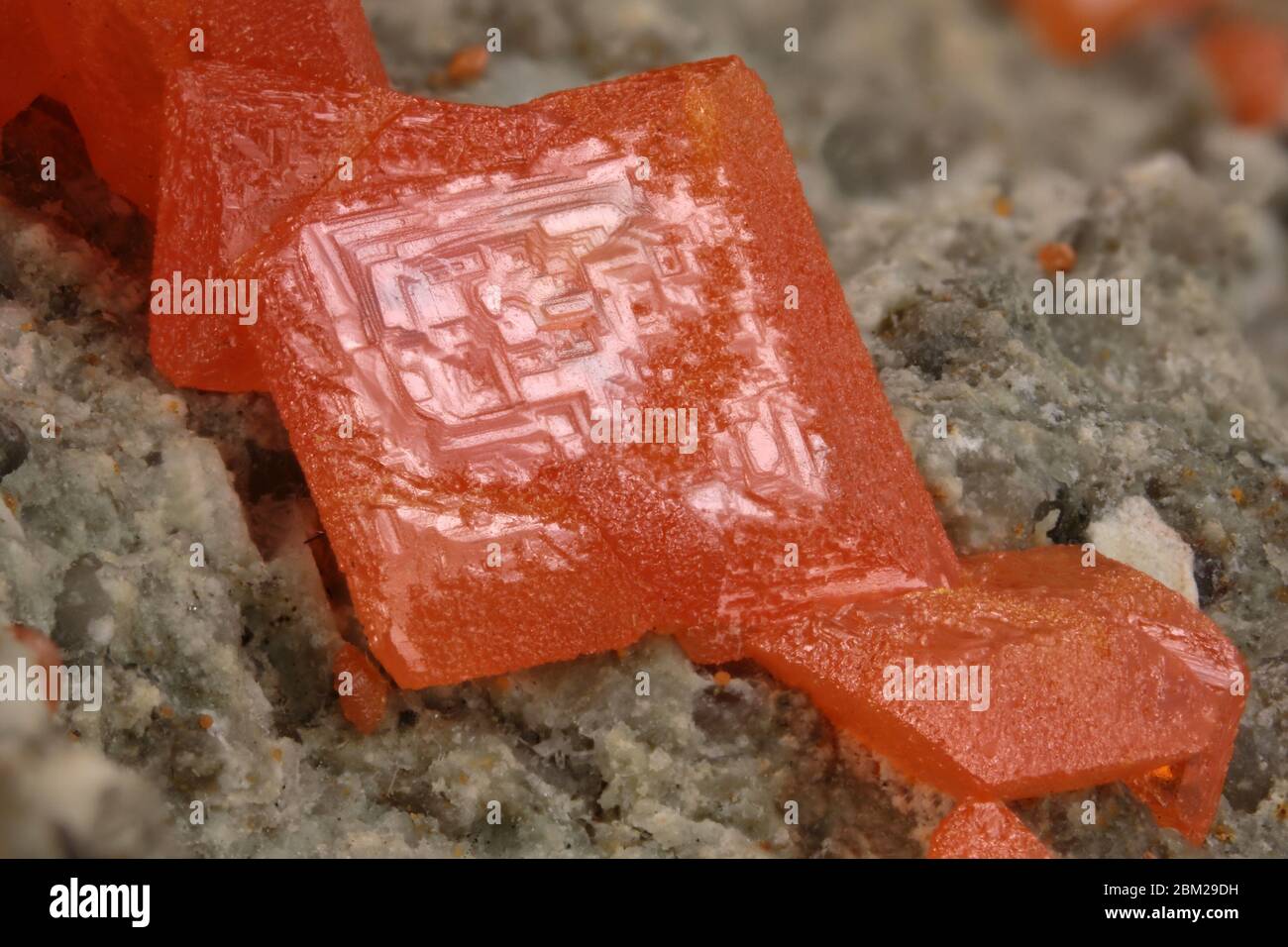 Wulfenite - Pure Potential Mine, Silver Mining District, La Paz County, Arizona, USA Stockfoto