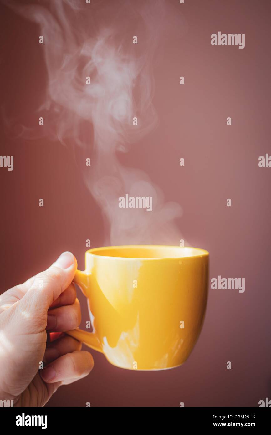 Gelbe Tasse mit heißem Teegetränk in der Hand mit dunkelrosa Hintergrund in wunderschönem Morgenlicht Stockfoto