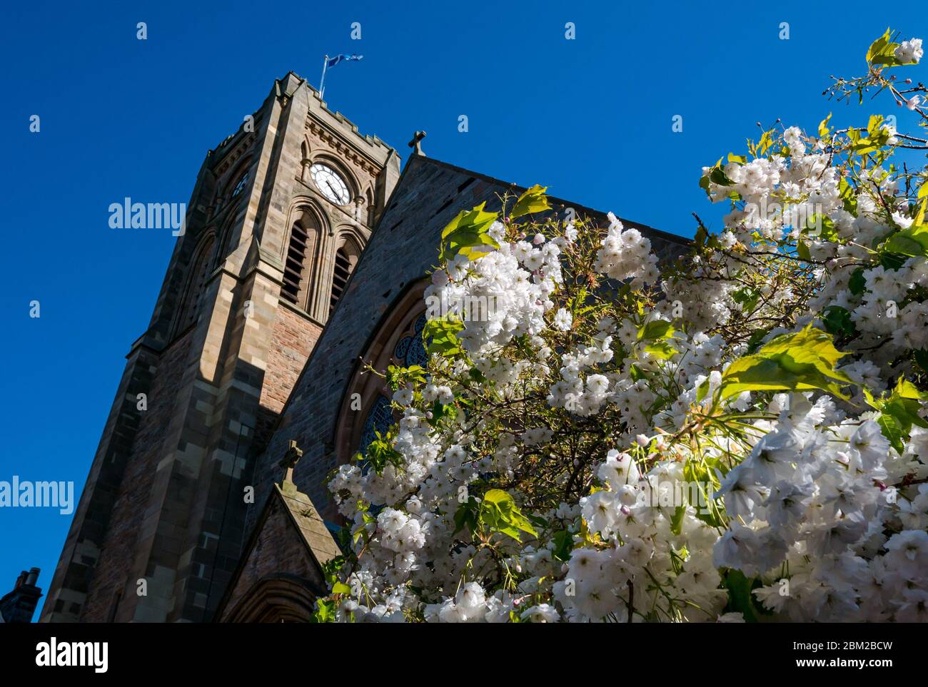 North Berwick, East Lothian, Schottland, Großbritannien. Mai 2020. UK Wetter: Der wärmste sonnigste Tag des Jahres in der Küstenstadt. Hübsche Frühlingsblüte, die von der Sonne in der St. Andrew Blackadder Church erleuchtet wurde Stockfoto