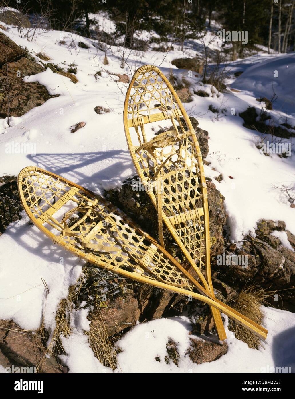 Foto von Schneeschuhe im Wald im Winter Stockfoto