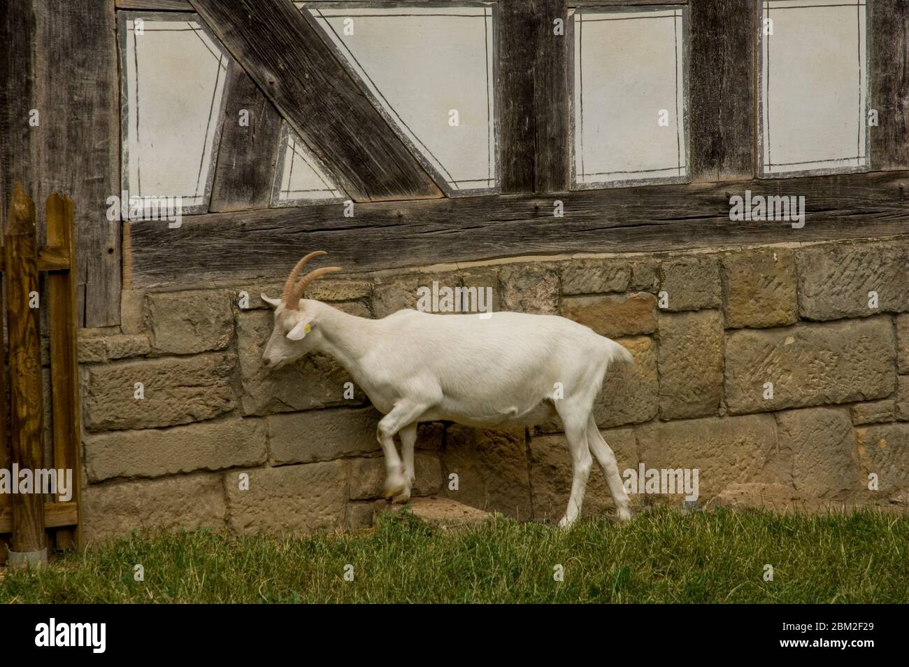Fachwerkhaus Landkreise deutschland Stockfoto Fachwerkhaus Landkreise deutschland Stockfoto