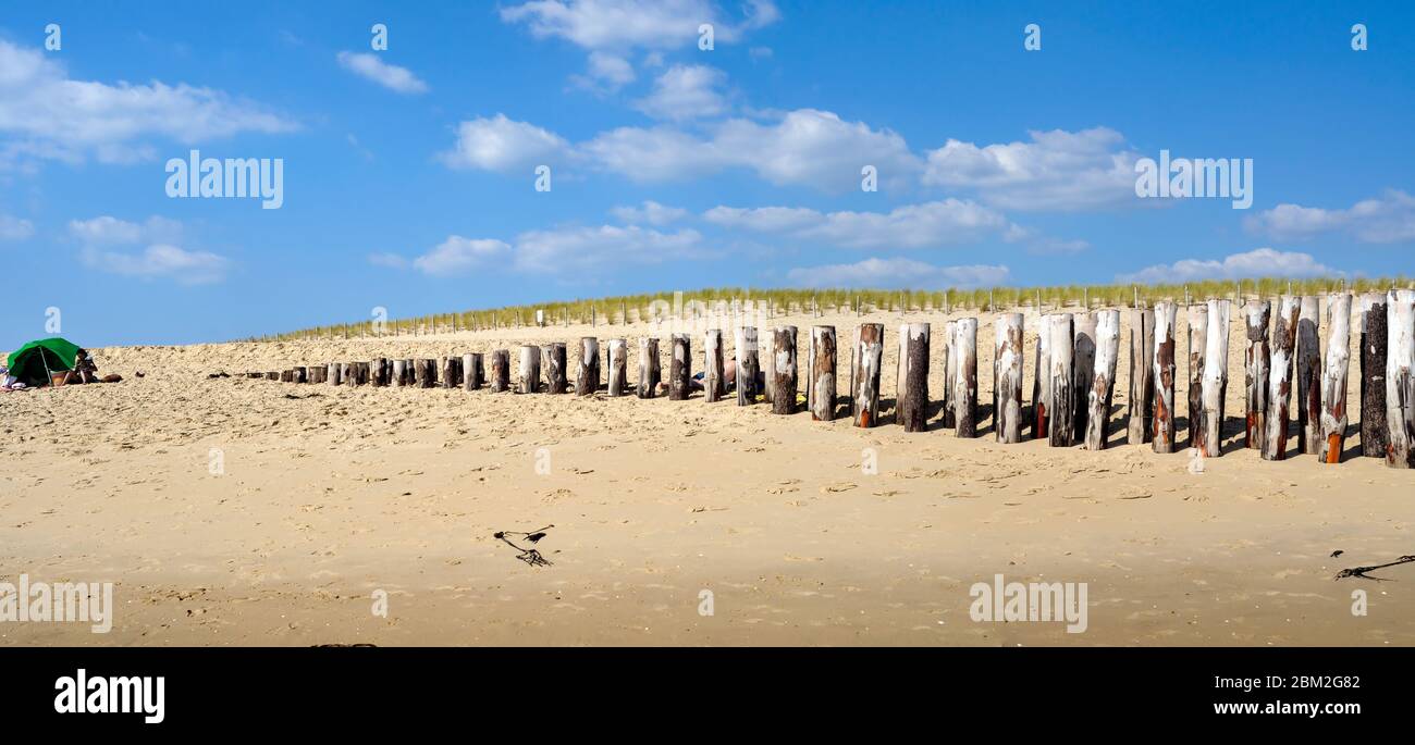 Cap Ferret/ Frankreich: Strand mit Holzstämmen, die die Dünen von Cap Ferret in der Bucht von Arcachon schützen Stockfoto