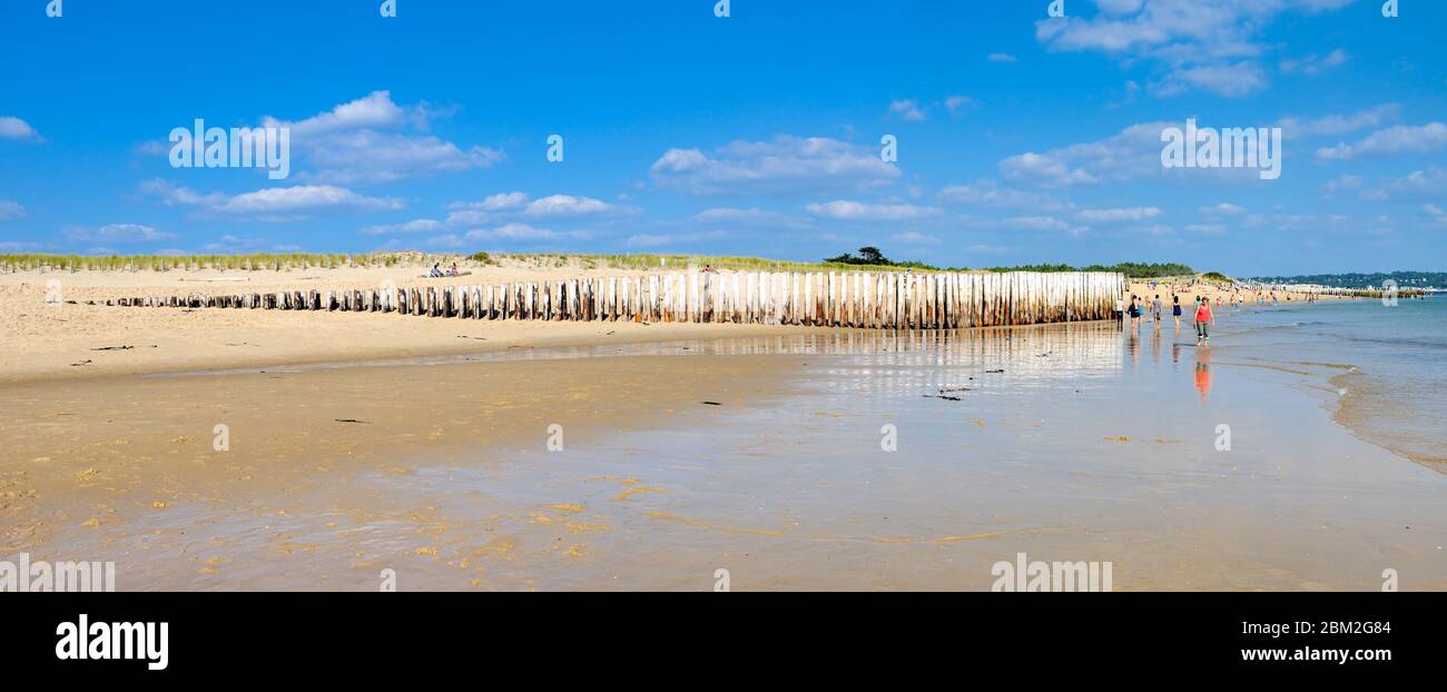 Cap Ferret/ Frankreich: Strand mit Holzstämmen, die die Dünen von Cap Ferret in der Bucht von Arcachon schützen Stockfoto