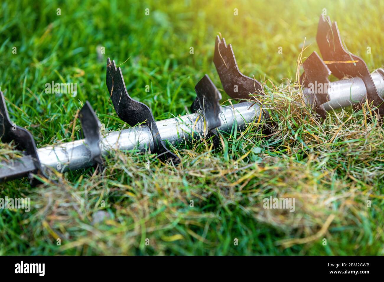 Rasenpflege - Altgrasentfernung und Bodenbelüftung mit Scheuermittel Stockfoto