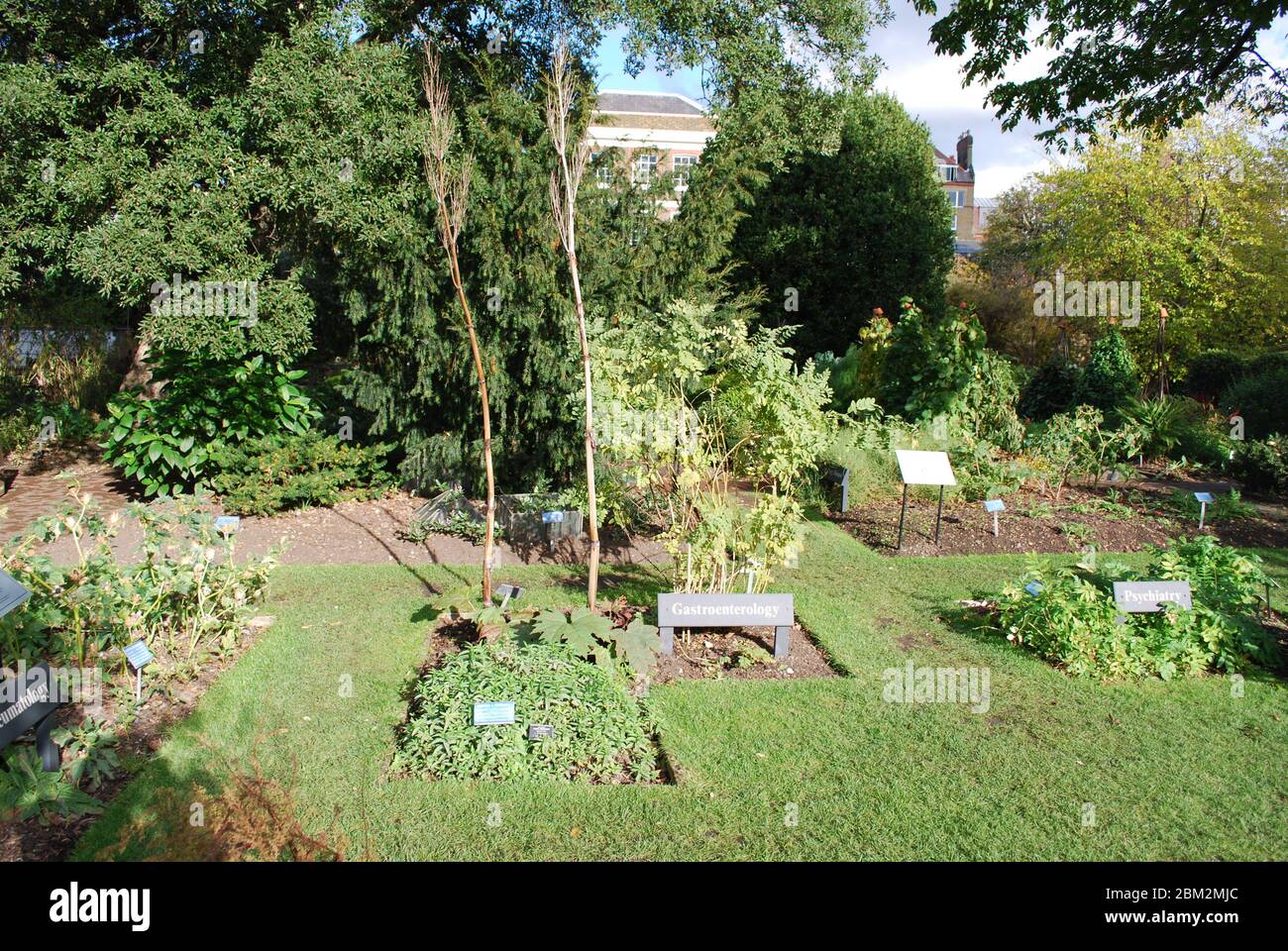 Heilkräuter Gesundheit Wohlbefinden natürliche Heilmittel Chelsea Physic Garden, 66 Royal Hospital Rd, Chelsea, London SW3 4HS Stockfoto