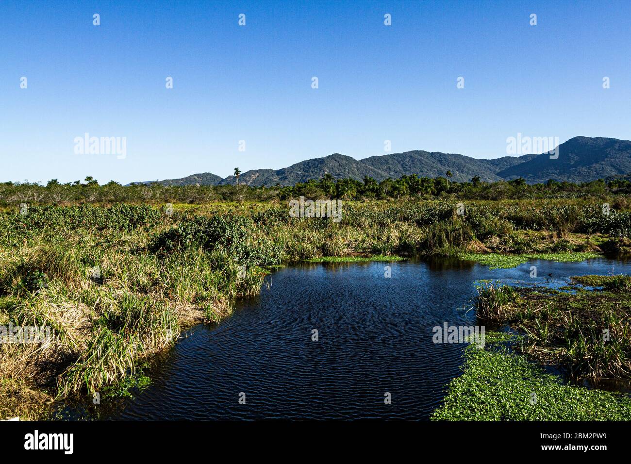 Costeira do Pirajubae Reserve. Florianopolis, Santa Catarina, Brasilien. Stockfoto