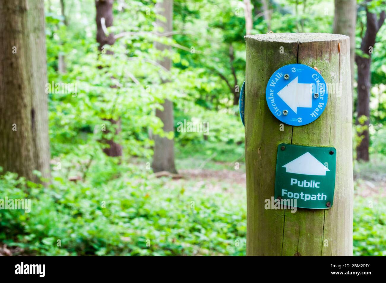 Öffentlicher Fußweg und Rundwanderweg Wegmarkierung Zeichen auf einem Pfosten in Ken Hill, Snettisham in Norfolk. Stockfoto