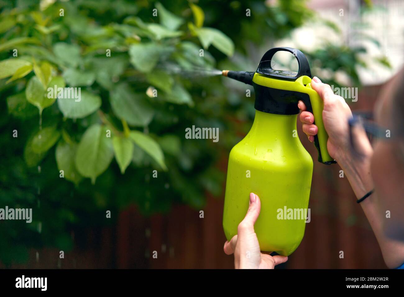 Mädchen sprüht Pflanzen im Garten Stockfoto