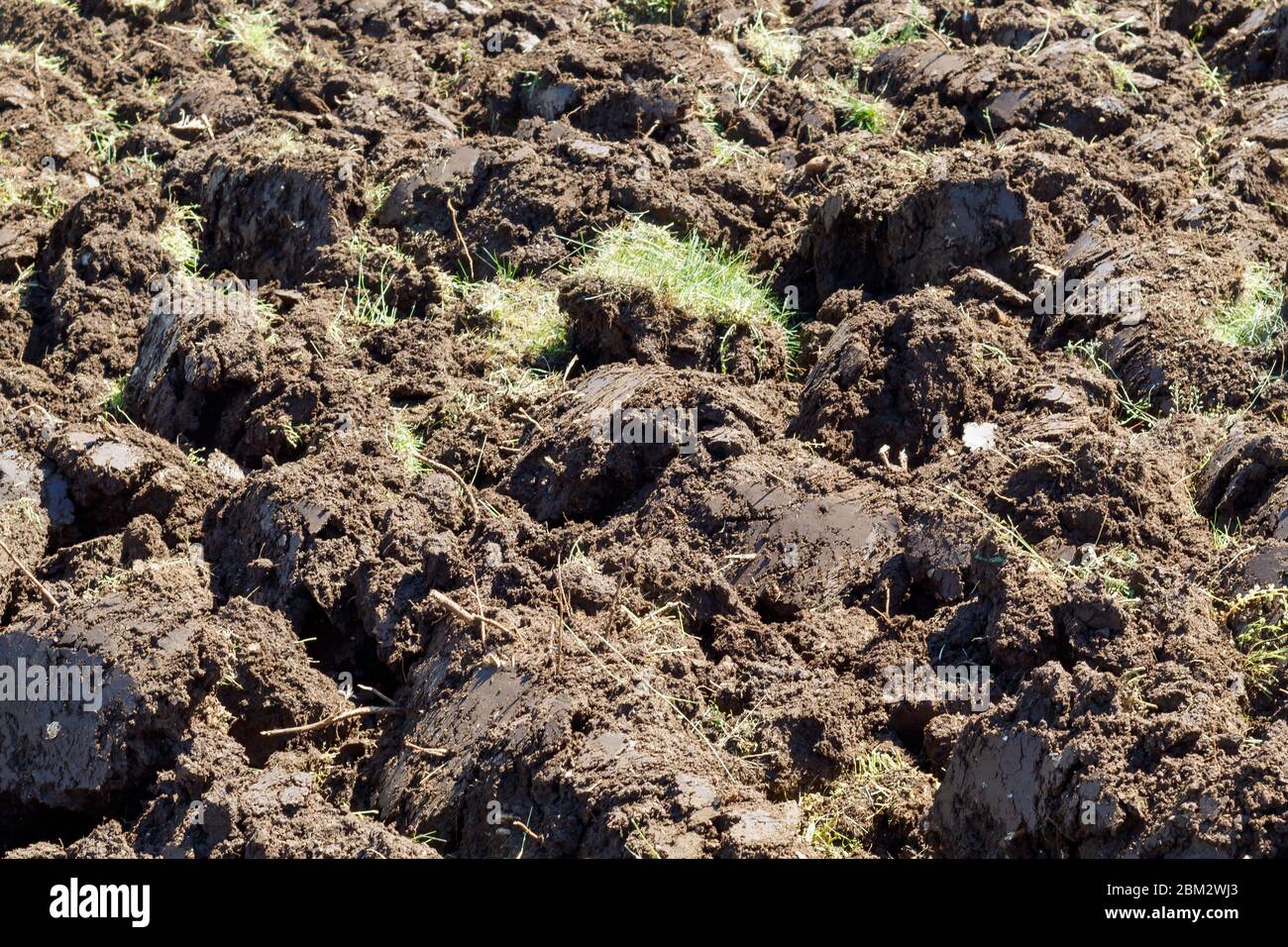 Hintergrund Aus Frisch Gepflügtem Boden Stockfoto