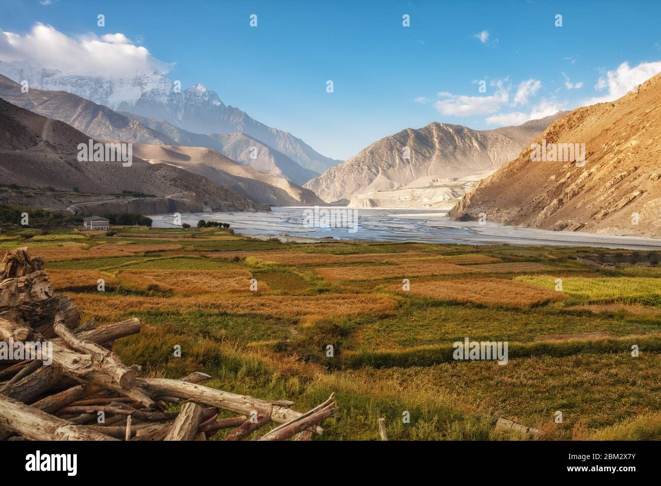 Landwirtschaftliche Felder am Ufer des Kali Gandaki Flusses in der Nähe des Dorfes Kagbeni. Berglandwirtschaft, Lower Mustang, Nepal Stockfoto
