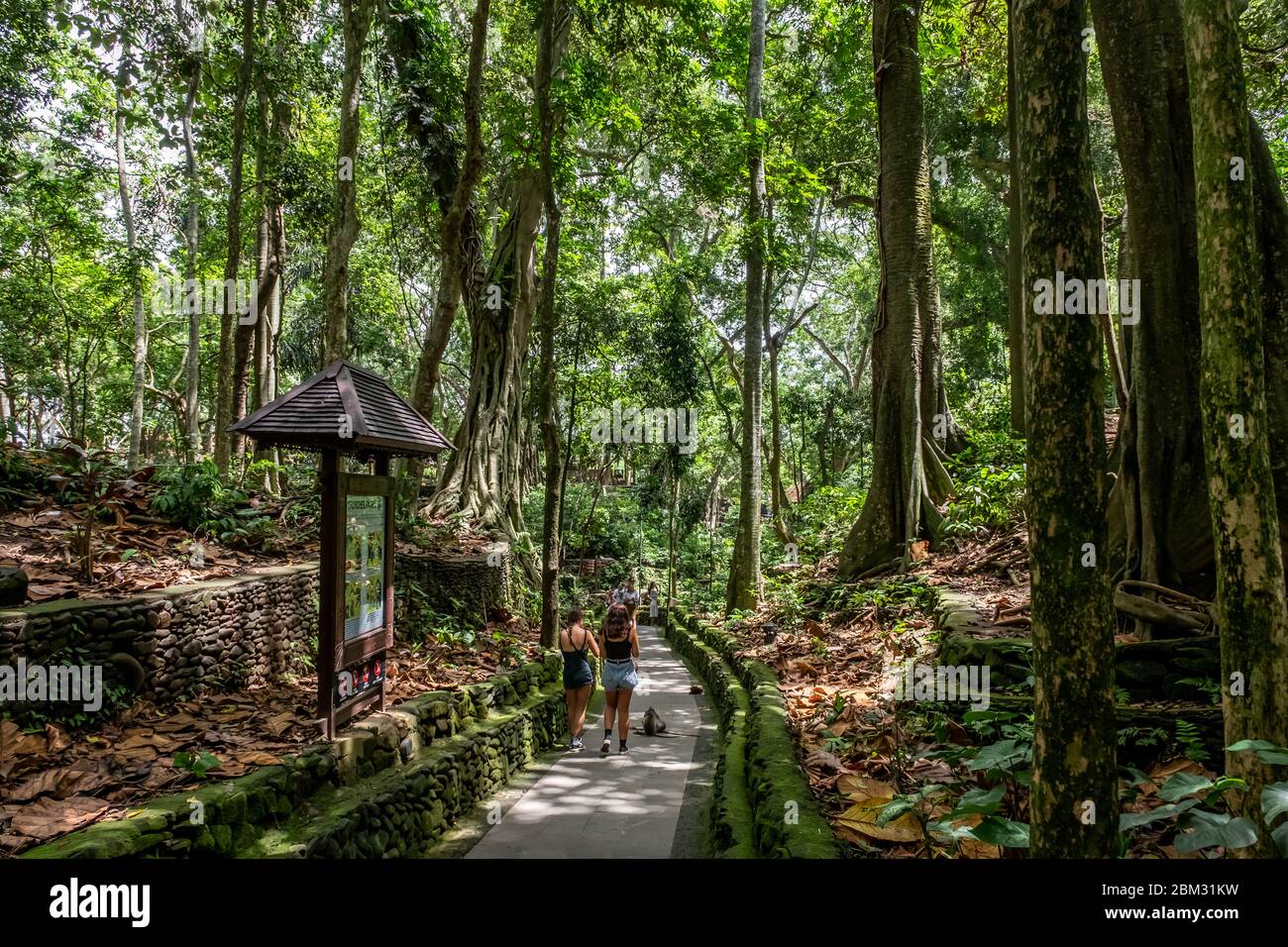Sacred Monkey Forest Sanctuary Temple, dieser Ort ist am beliebtesten in der Provinz Ubud, Bali Island Stockfoto
