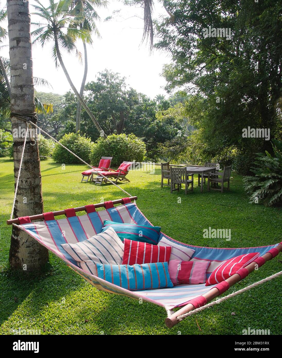 Aufnahme von bunten Kissen auf Hängematte im Garten mit grünen Rasen und Bäumen Stockfoto