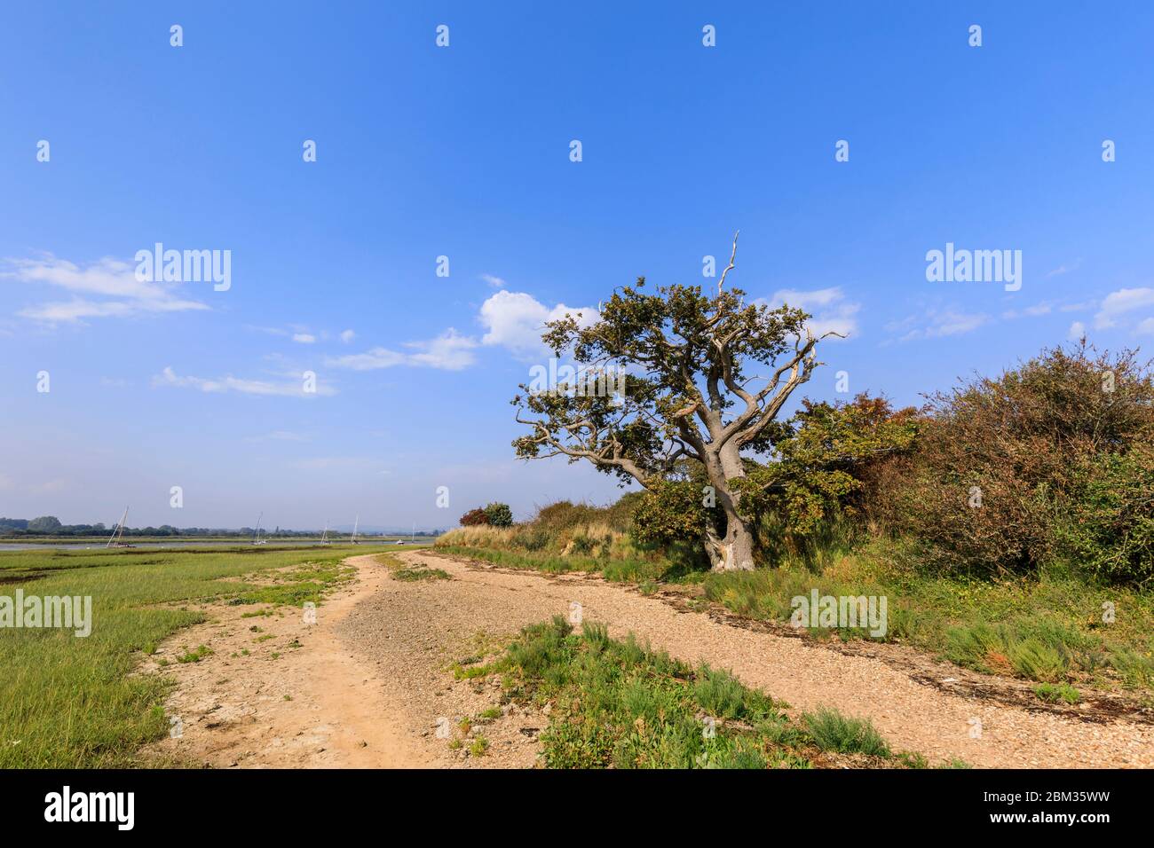 Fußweg an der Smugglers Lane und Fähre harte Gezeitengebiete im Salzmarsch bei Ebbe, Bosham, Chichester Harbour, West Sussex, Südküste Englands Stockfoto