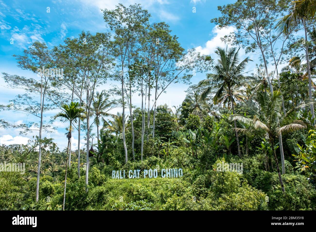 Kaffeehaus in der Provinz Ubud, Bali. Der Name dieses Ortes 'Bali Cat Poo Chino Coffee Farm' Stockfoto