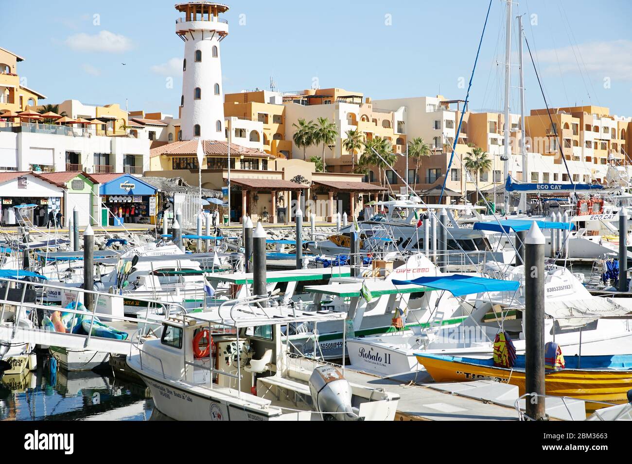 Ein farbenfroher Hafen mit Booten, die in Cabo San Lucas, Mexiko angedockt sind Stockfoto