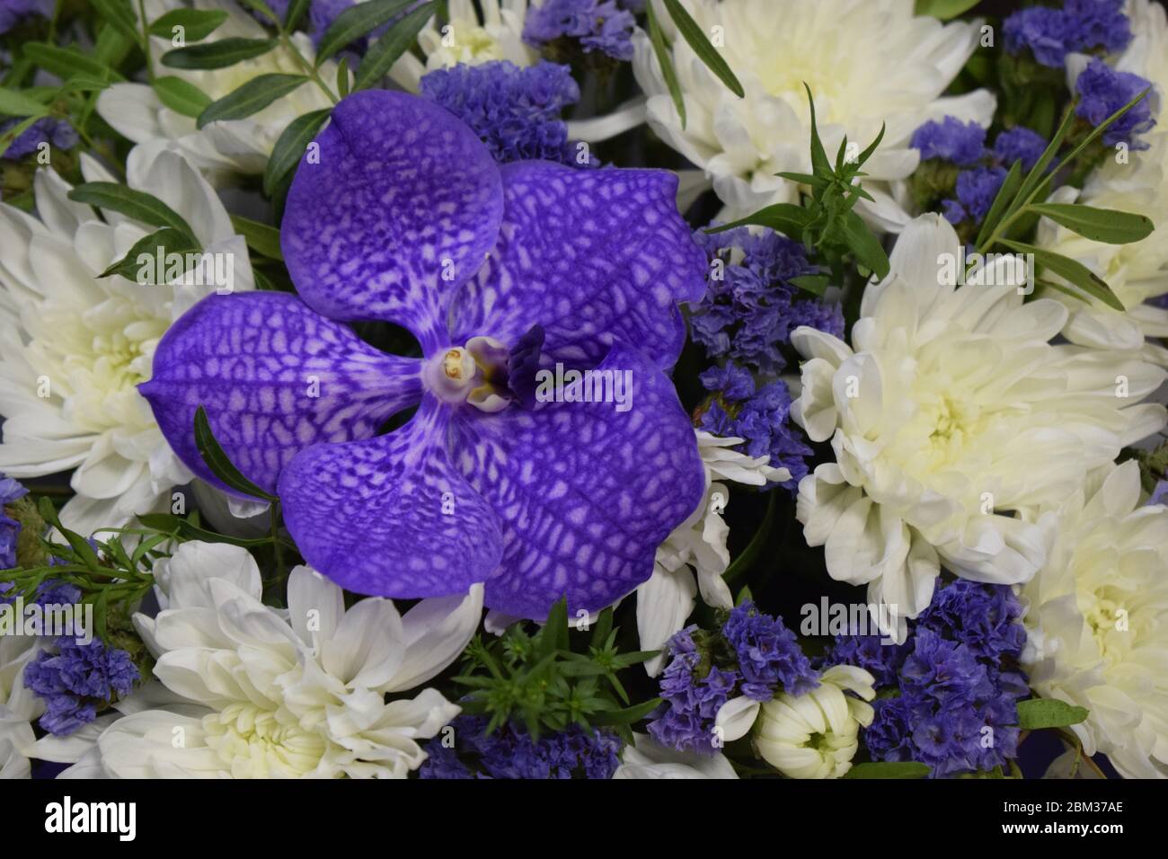 Lila Orchidee und andere Blumen im Bouquet. Orchidee Phalaenopsis mit