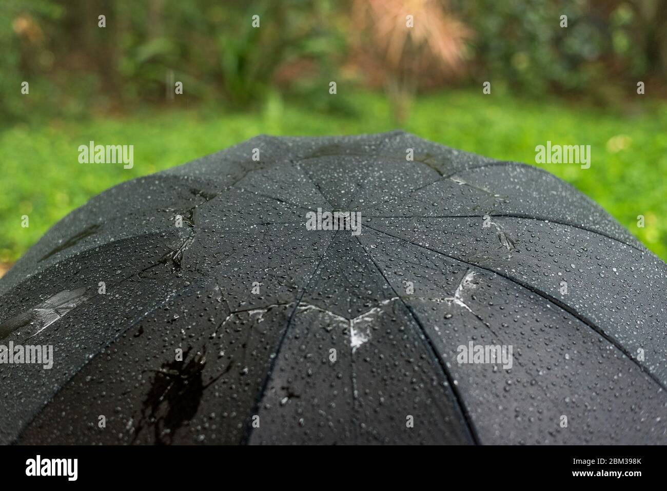 Ein nasser schwarzer Regenschirm im Regen Stockfoto