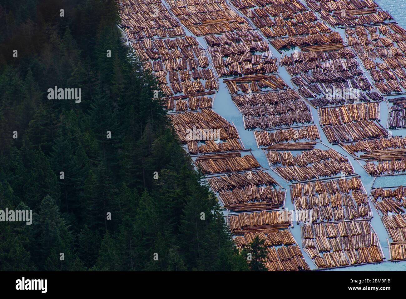 Holzeinschlag schwimmt auf dem Wasser neben Wald in Squamish Kanada Stockfoto