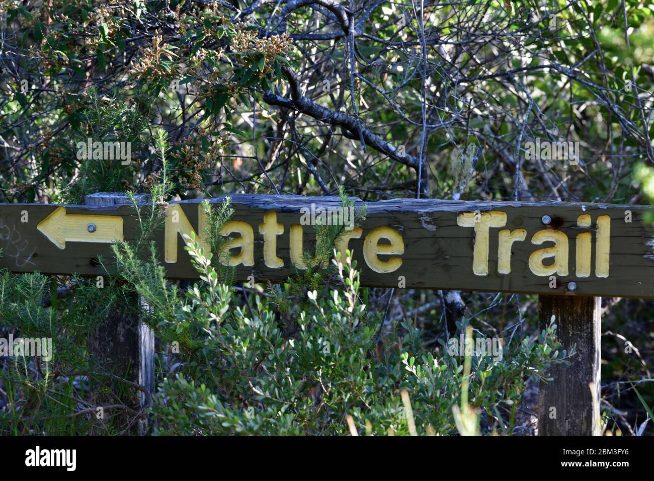 Ein Holzschild, das auf einen Naturpfad am Norah Head in New South Wales, Australien, hinweist Stockfoto