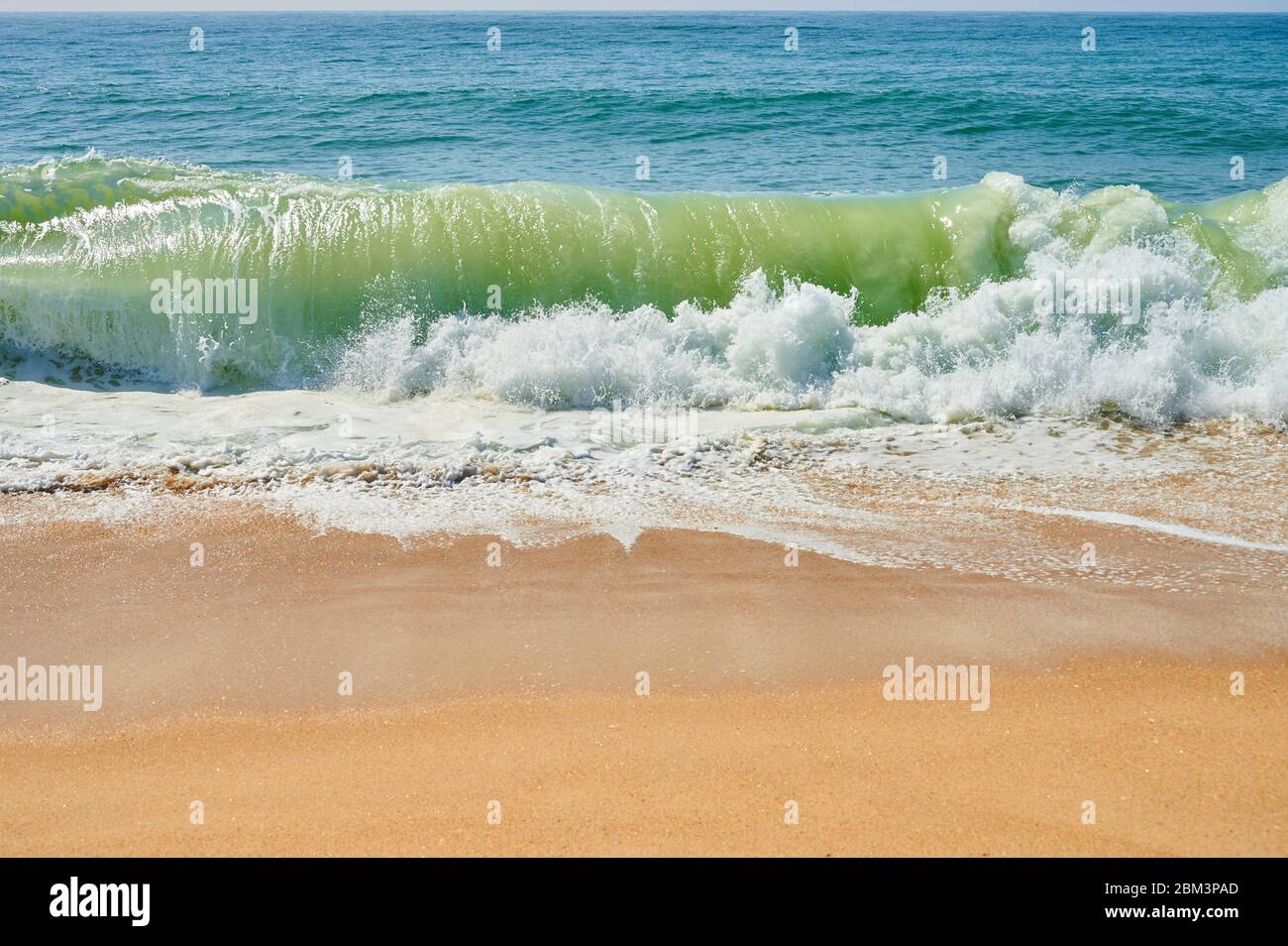 atlantische grüne Wellen schlagen am Strand am Nordstrand von Nazaré Stockfoto