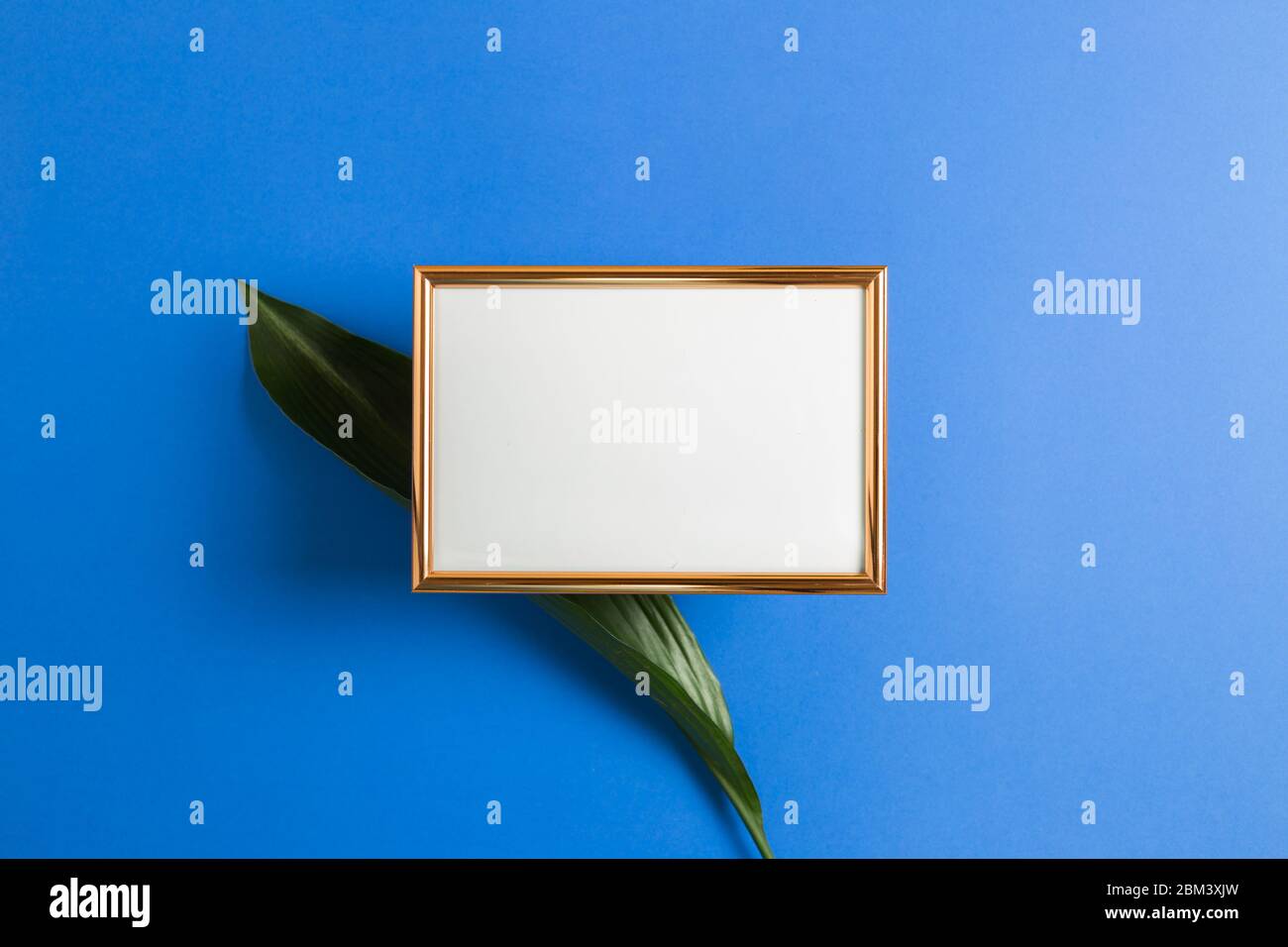 Platz für den Brief an die Jubiläumsnachricht. Leerer Bilderrahmen mit grünem Blatt auf blauem Hintergrund. Draufsicht, Kopierraum Stockfoto