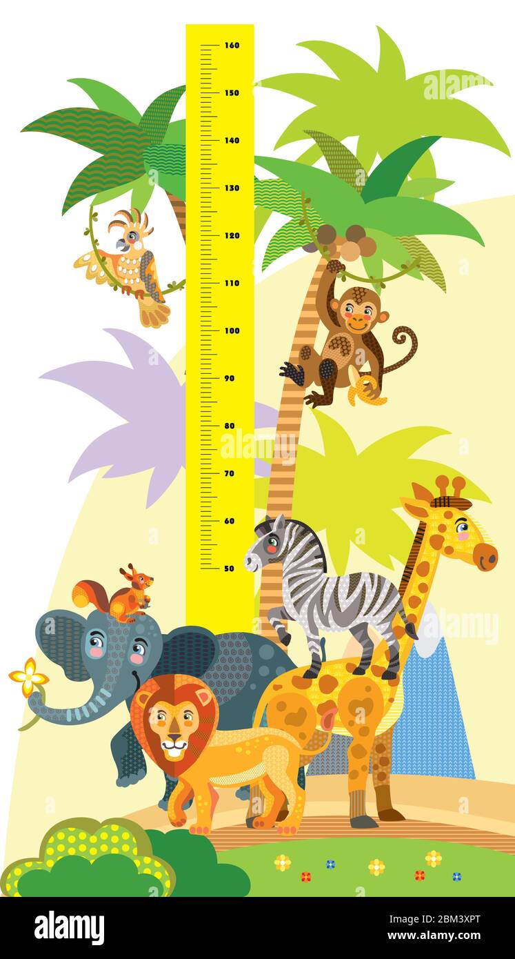 Höhe Meter mit wilden Tieren Vektor Cartoon Illustration in flachem Stil. Vektor vertikale Skala Messung mit niedlichen afrikanischen Tieren für Kinder. Gr Stock Vektor