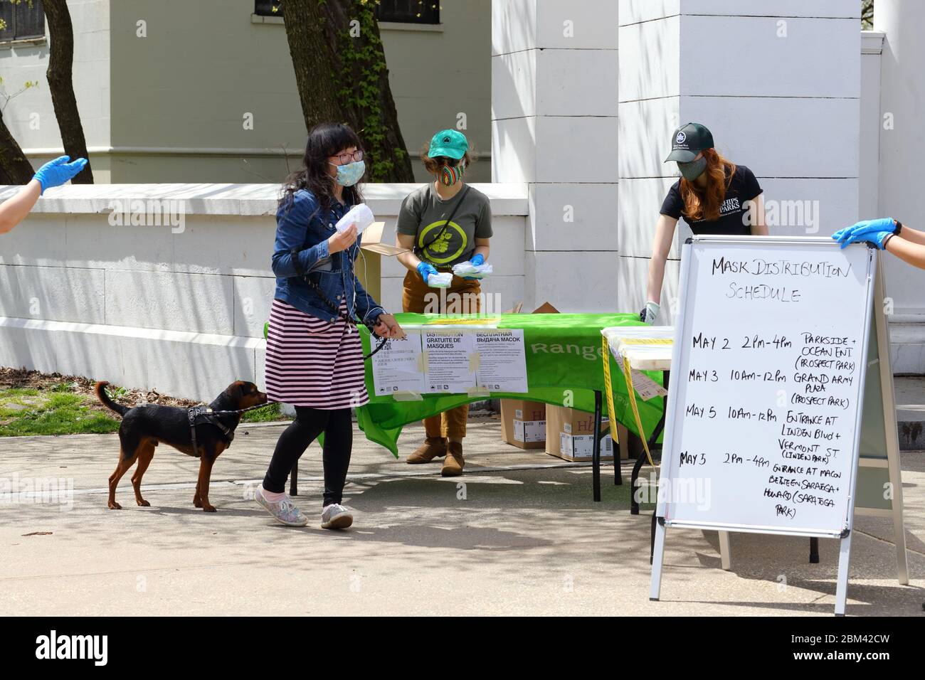 Mitarbeiter der New Yorker Parkabteilung verteilen kostenlose Gesichtsmasken aus Stoff an Menschen im Prospect Park in New York... WEITERE INFORMATIONEN FINDEN SIE UNTER „VOLLSTÄNDIGE BILDUNTERSCHRIFT“ Stockfoto