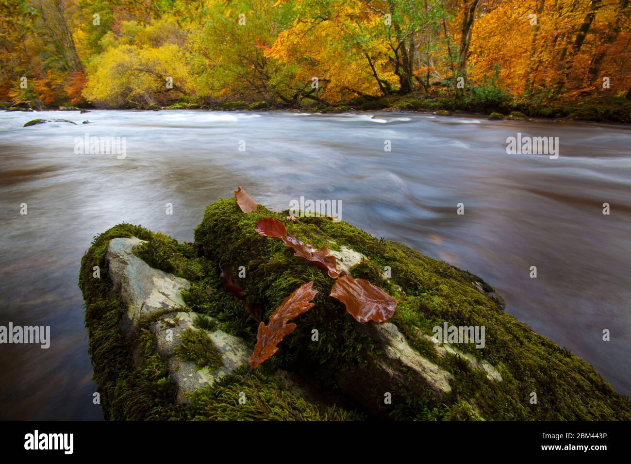 Herbst entlang eines Flusses Stockfoto