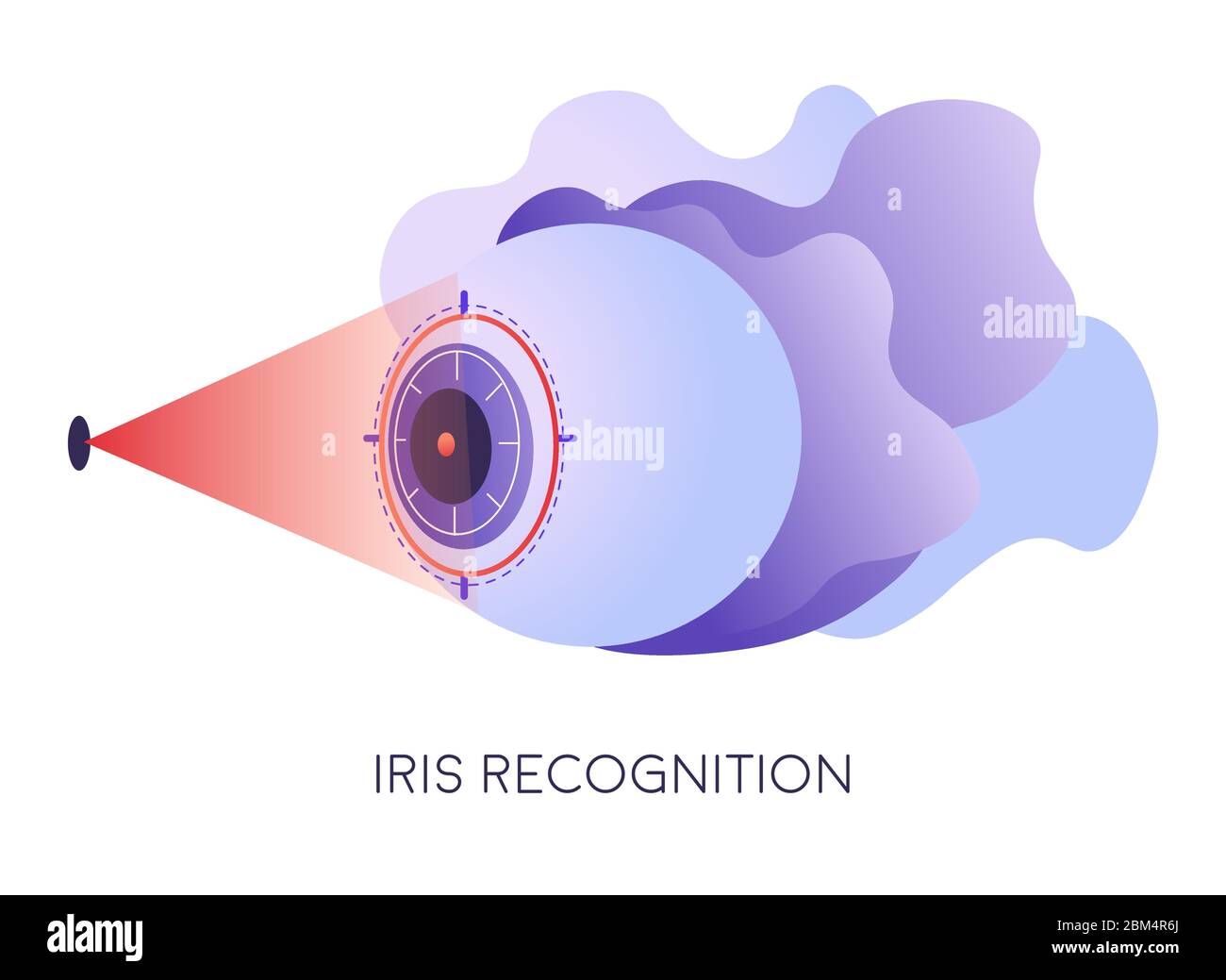 Augenerkennung, Scannen von Iris für Authentifizierung und Zugriff Stock Vektor