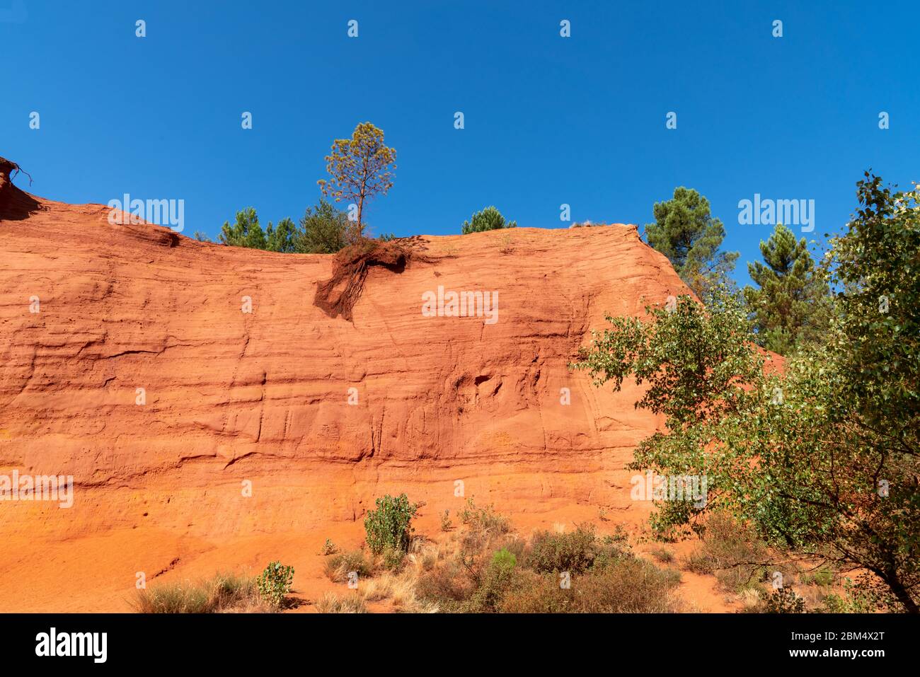 Roussillon Park mit roten Felsen in Luberon Provence Frankreich Stockfoto