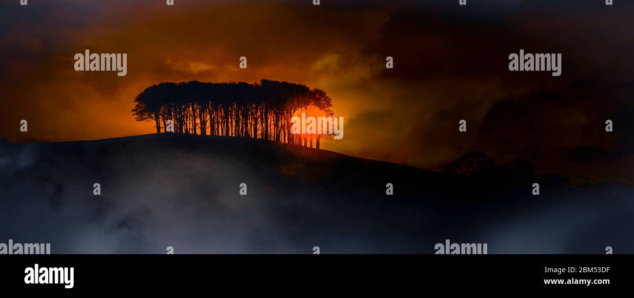 Sonnenuntergang hinter Bäumen, Devon, UK Stockfoto