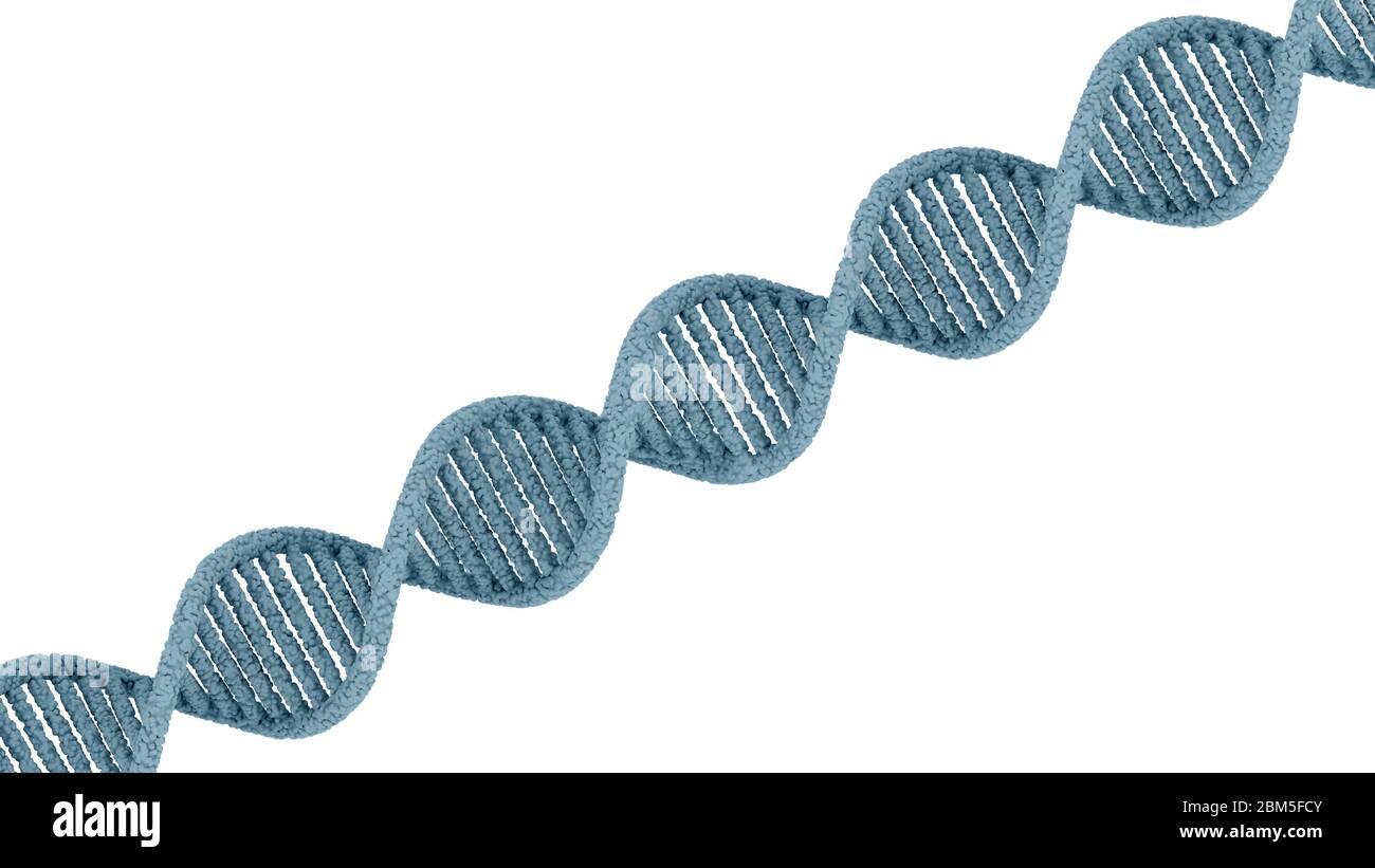 DNA-Strang auf weißem Hintergrund isoliert. 3D-Rendern Stockfoto