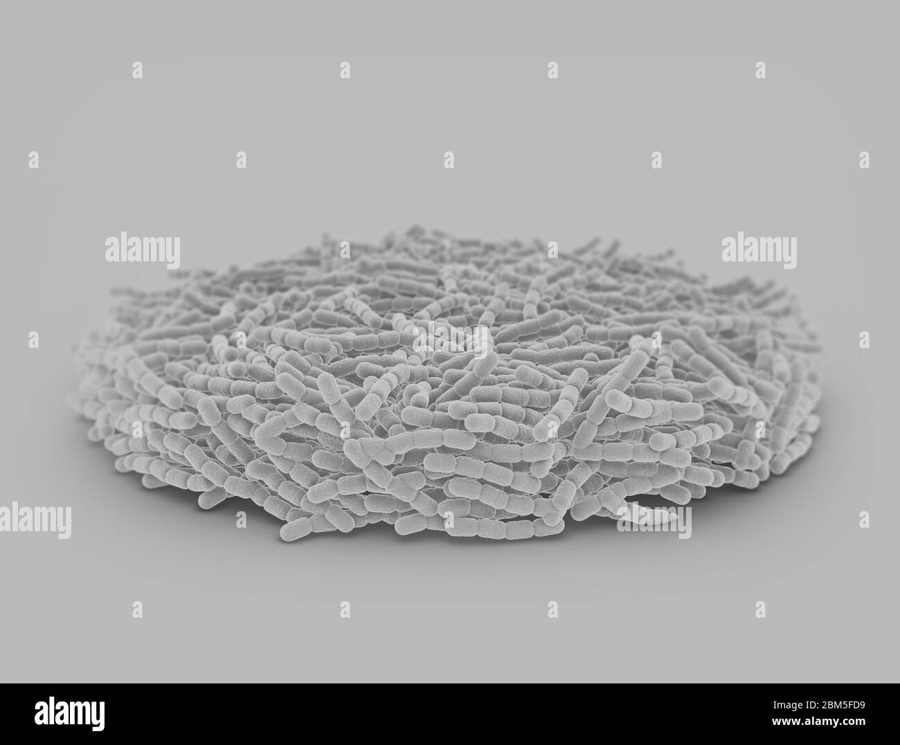 Streptococcus pneumoniae Zellen im Kreis. 3D-Darstellung Stockfoto