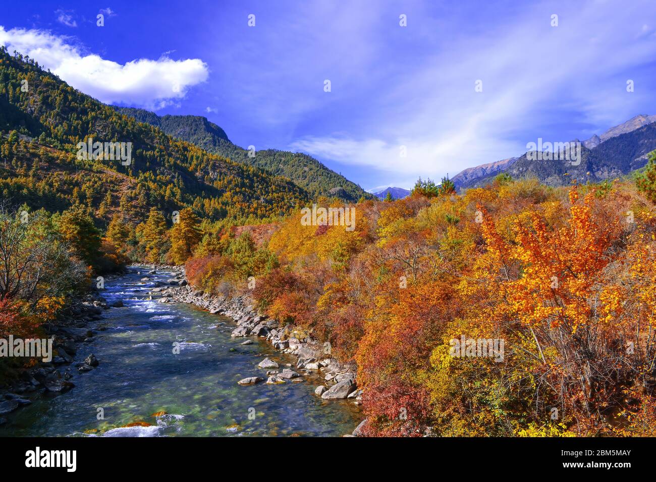 Herbstdarstellung im Einzugsgebiet des oberen Baches in Paro, Bhutan. Stockfoto
