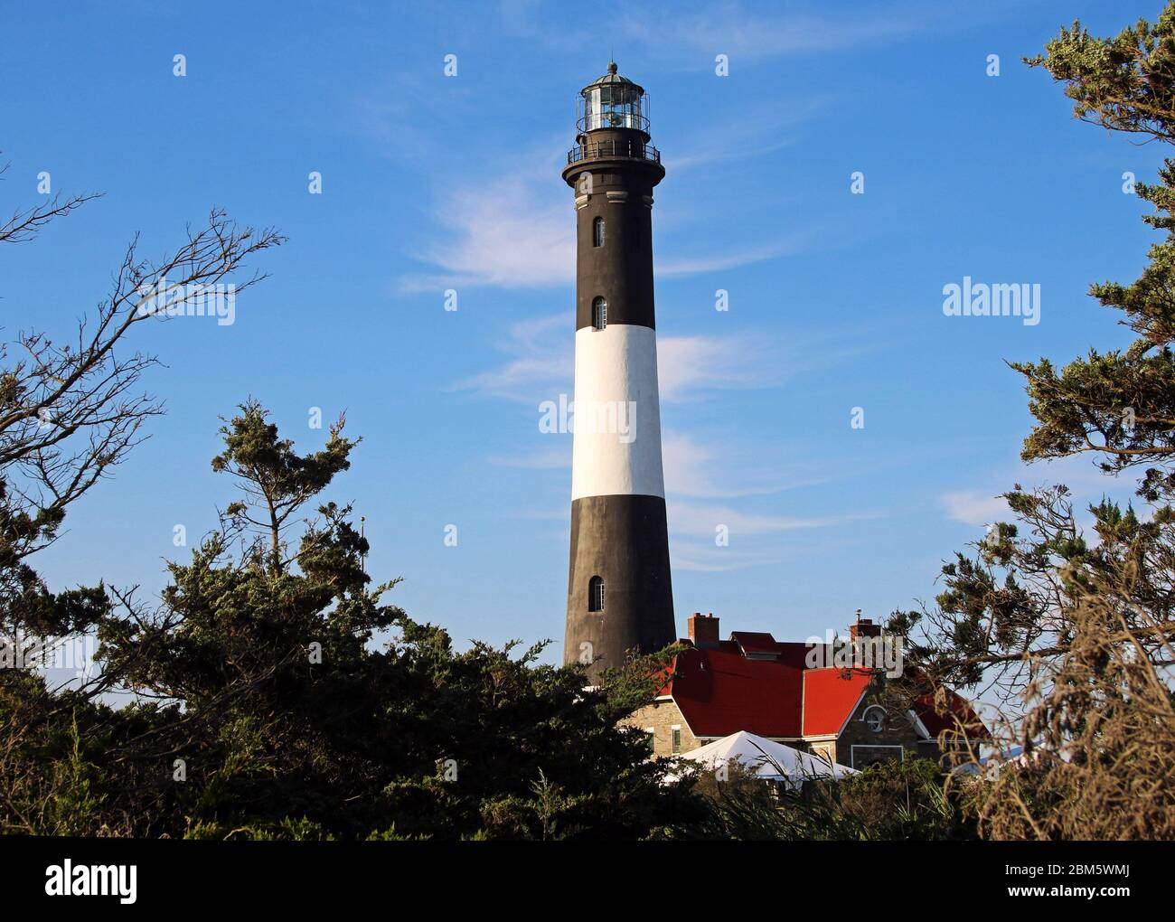 Der Fire Island Lighthouse mit viel Pinsel in Schaum und blauem Himmel Nachthund Stockfoto