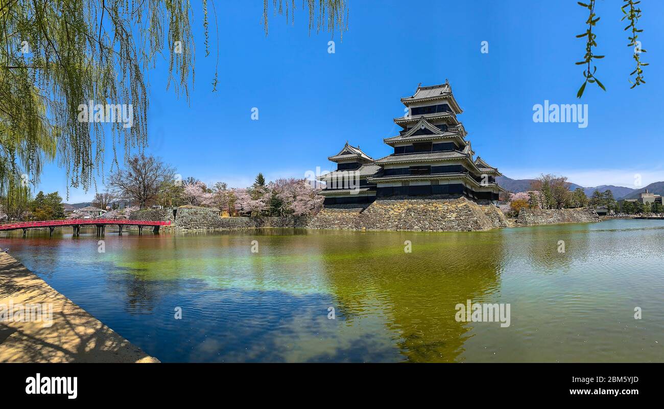 Frühling, Kirschblüte, Matsumoto Castle. Auch bekannt als "Crow Castle" aufgrund seiner schwarzen Fassade ist es ein historisches Schloss in Nagano Präfektur, Japan Stockfoto