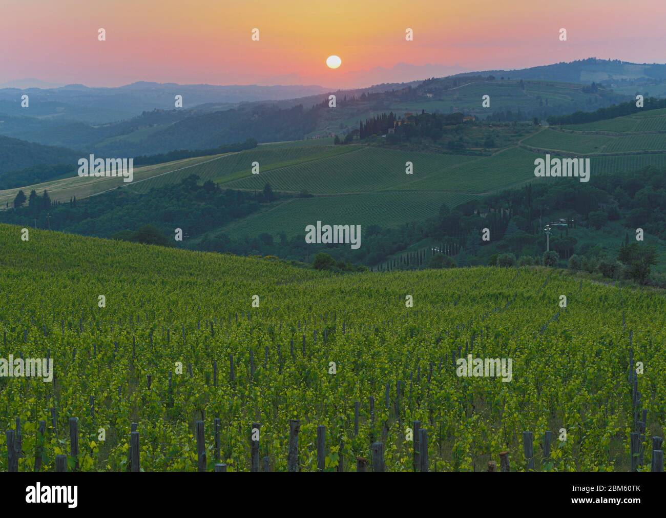 Weinberge in der Dämmerung bei Pieve di Panzano in der Chianti-Region, Toskana, Italien. Stockfoto