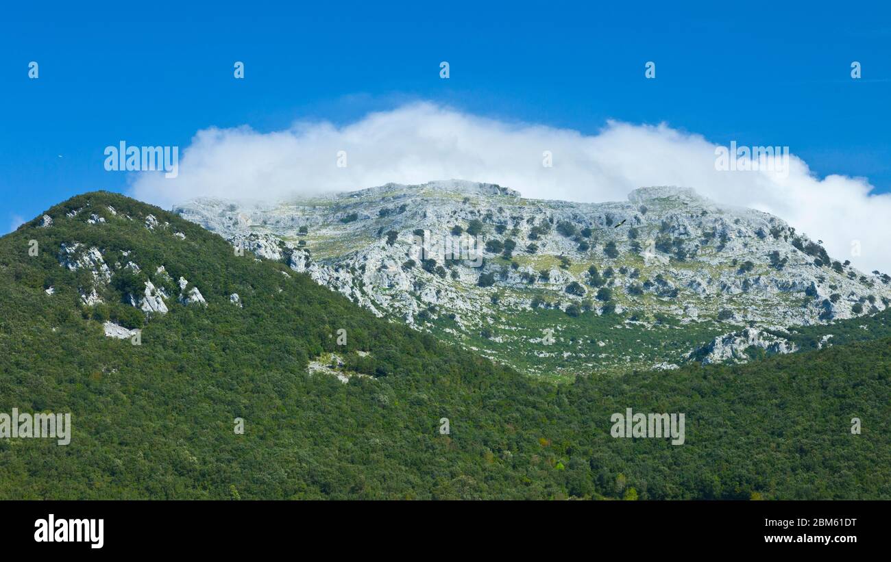 Föhnwind oder Föhn Wind, Monte Candina Candina (Berg), Liendo, Kantabrien, Spanien, Europa Stockfoto