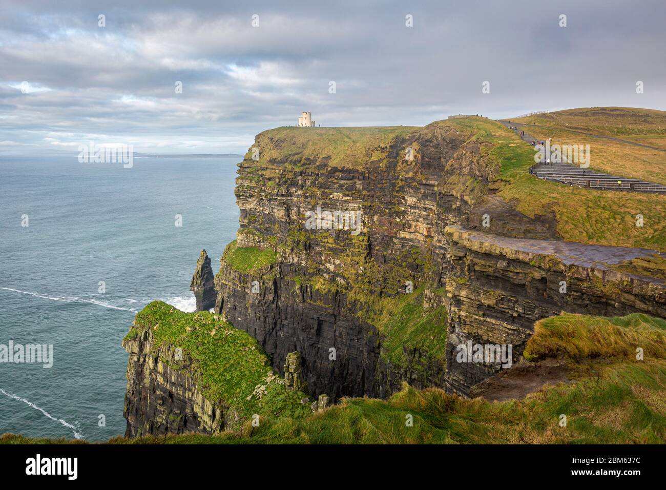 Cliffs of Moher, Steilklippen, County Clare, Provinz Münster, Republik Irland Stockfoto