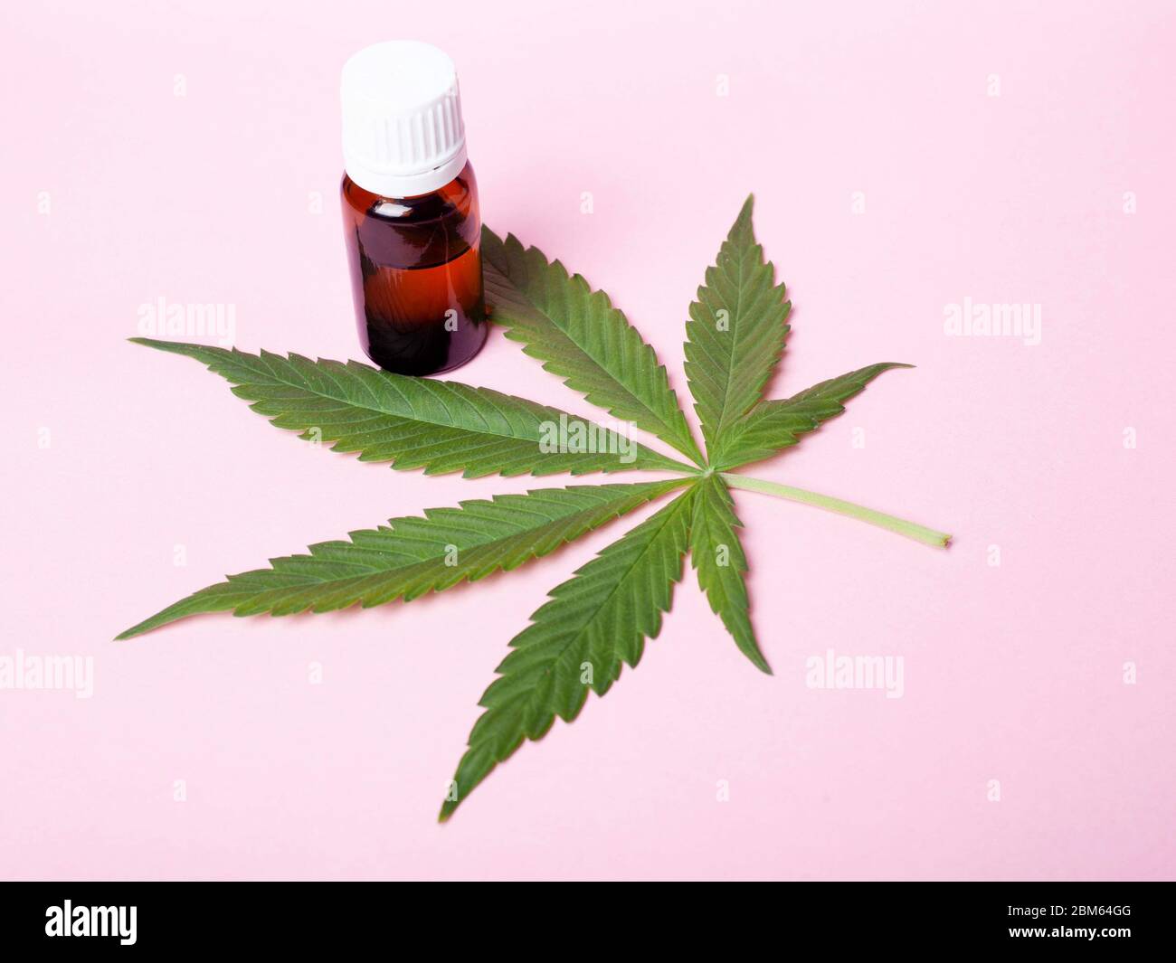 Medizinisches Cannabisprodukt.Konzept: Natürlicher Hanf-Extrakt auf rosa Hintergrund. Stockfoto