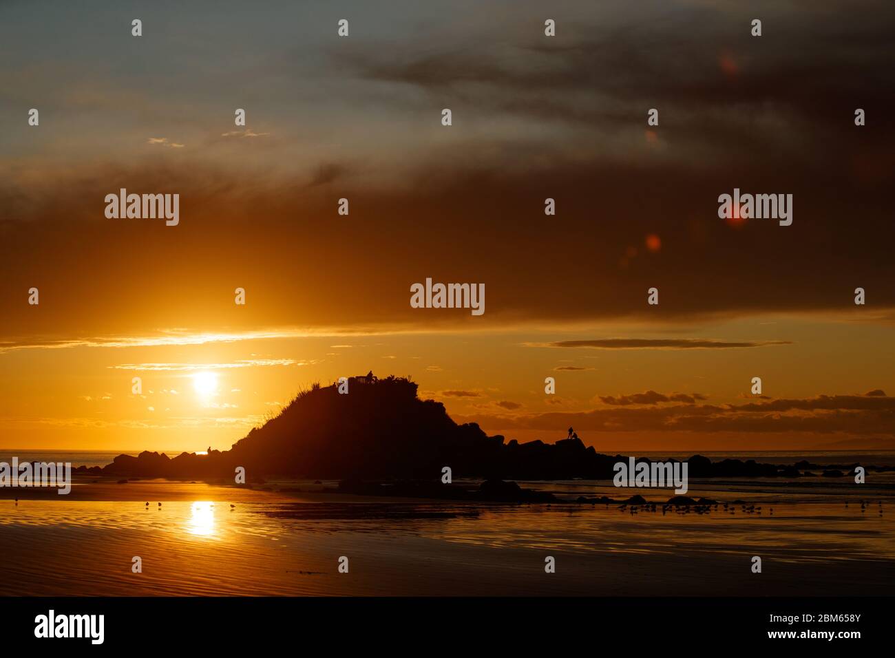 Monkey Island, Te Waewae Bay, Neuseeland Stockfoto